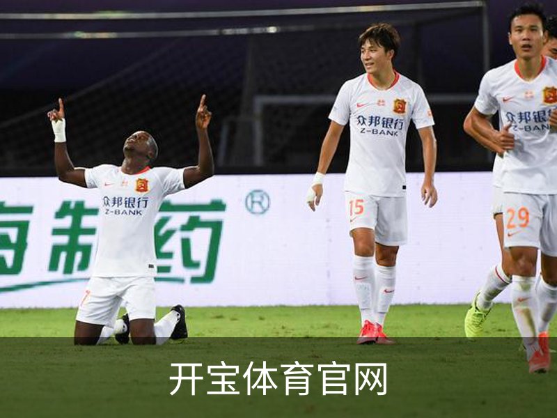 开宝体育官网介绍